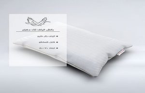 بالش-تک-مغزی